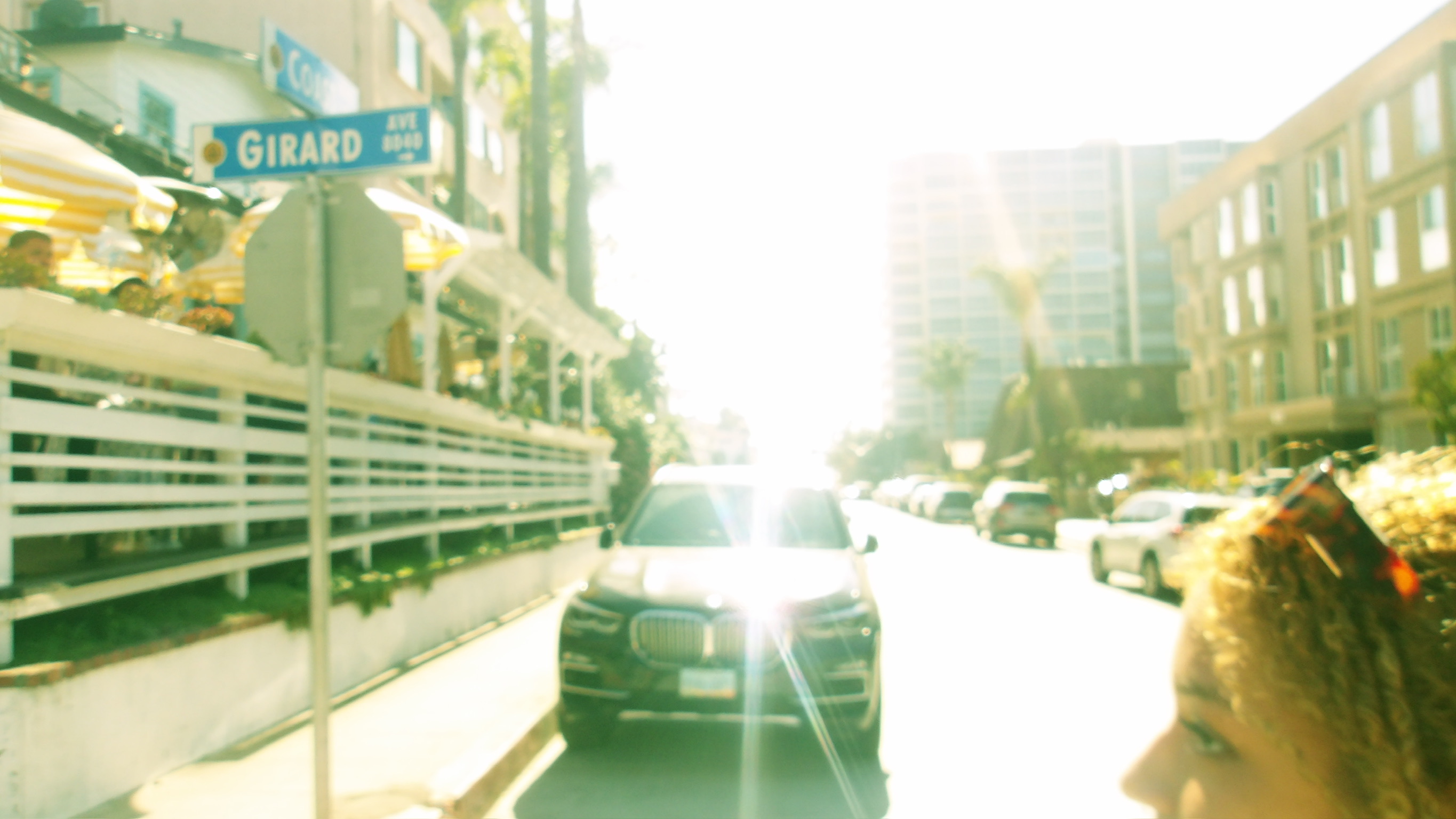 CALIFORNIA SPRING 26 photo
